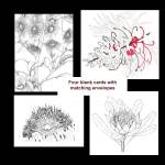four-blank-cards-image