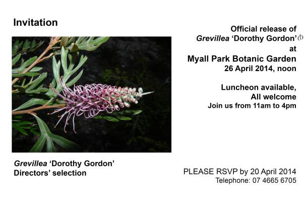 invitation to dorothy release