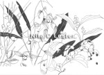 recipe_cover_Myall_Park_Botanic_Garden